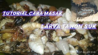 TUTORIAL CARA MASAK LARFA LEBAH TANAH ATO TAWON SUK DENGAN BUMBU SEDERHANA