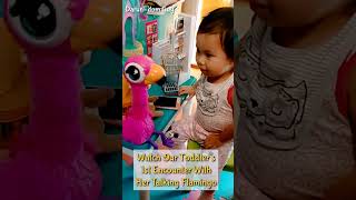 1 of the CUTEST Playtime EVER : Talking Flamingo,  Doll and Toddler Edition 😁 #shorts