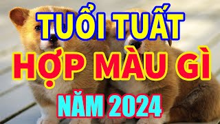 Tuổi Tuất hợp màu gì năm 2024 mang lại may mắn tài lộc #mauhoptuoituat #tuoituat2024 #tuvituoituat