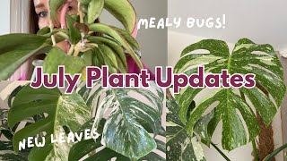 July - Monthly Plant Updates