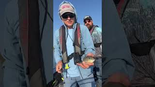 Bass fisherman’s first Bluegill