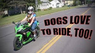 IS THAT A DOG ON A BIKE??