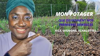 MON POTAGER : Que deviennent les premières semences de la saison.