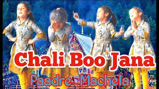 CHANDI MATA BHAJAN Chali Boo Jana Paadre  Machela  Singer Kulbir Nagotra Rajo Dogri Bhajan