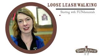 Ep. 101 - Loose Leash Walking - Focus on FUNdamentals