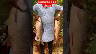 Amazing big 😱 rohu fish fiahing in river #shorts