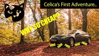 Why Was This Celica So Cheap? *PROBLEMS*