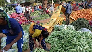 BIJUPARA SABJI MANDI ME SABJI KA BHAV! बिजूपारा सब्जी बाजार में सब्जी का भाव!