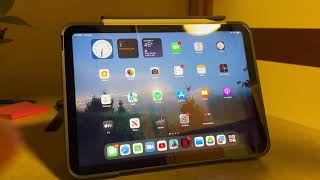 iPad 10th Generation (2022) - 2 Months Later