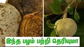 விளாம்பழத்தின் அருமை தெரியுமா? Benefits of Vilampalam(Wood Apple)