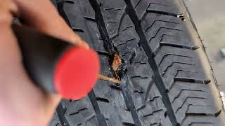 ⚜  Kako Popraviti Probušenu Gumu.!? How to Fix Flat Tire.!? 2024.🚙