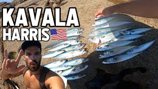 PESCA ÀS CAVALAS DE VERÃO 🌞