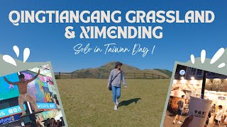 Solo trip to Qingtiangang Grassland And Ximending Day 1 | Solo travel in Taiwan | Travel Tips