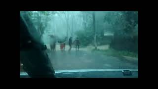 Happened - A Drive on Rainy Day  16102021