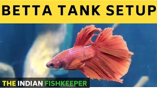 How To Setup Betta Tank | Fighter Fish Tank Setup