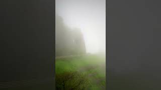 Malshej ghat - Indian tourism letest updates shorts| rain forest shorts