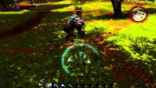 Kingdoms Of Amalur: Reckoning - Episode 14