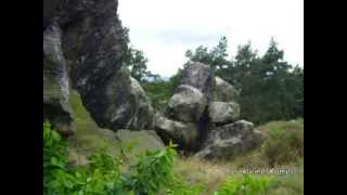 Quedlinburg - Das Kleine Kamel