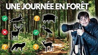 Une journée en FORÊT pour observer le plus D'ANIMAUX possibles !!!