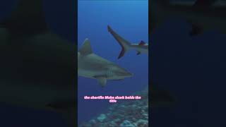 The Shark Truths: 3 Surprising Facts You Didn't Know About These Apex Predators #shorts #short