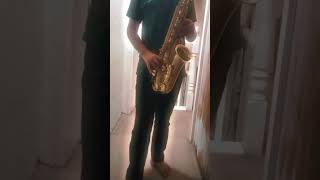 If We Live We Love We Lie Had A Sax Solo (PT.1) #altosaxsolo #jazzsolo