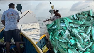 बिल्ज मासेमारी (last four days) Mumbai fishing. #fishing #agrikoli #youtube