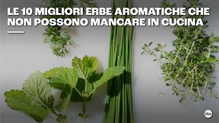 Le 10 migliori erbe aromatiche da usare in cucina