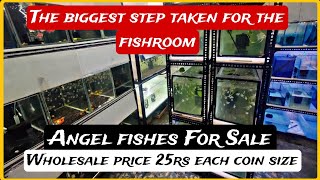 A small step taken in this fish breeding business.🤔