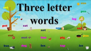 50 Three letter words with pictures | Easy to learn | kindergarten | pre primary | Jay and Jezz