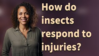 How do insects respond to injuries?