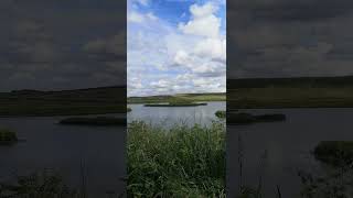 Summertime at RSPB St Aidan's near Leeds 🐦