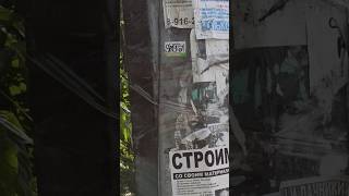 Стикербомбинг на столбе #graffiti #граффити #sticker #stickerbombing #стикербомбинг #стикер #bombing