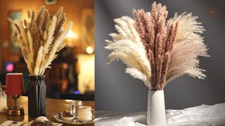 Top 5 Best Pampas Grass Decors for Home & Wedding Decoration 2023