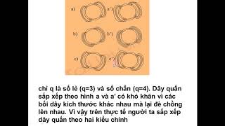 TÍNH TOÁN DÂY QUẤN ĐỘNG CƠ KDB 3 PHA (PHẦN 6)