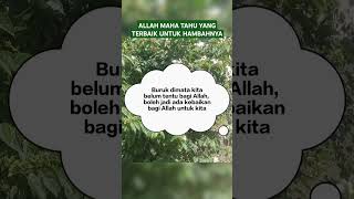 ALLAH MAHA TAHU#@kehidupansingleparent8917 . defiandriani#fyp #motivasi #indonesia