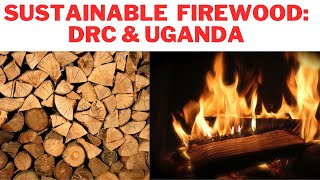 Sustainable Firewood & Non wood cooking solutions in Africa - DRC and Uganda examples