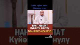 Нан Табылат куйонун конулун оорутпагыла