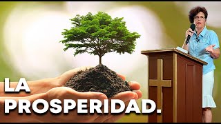 Pastora Mª Carmen Parra | La prosperidad.