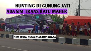 HUNTING BUS DI GUNUNG JATI FULL BASURI.GUNJAT SAMPAI MACET.ADA SJM RATU MAHER,ZINORA