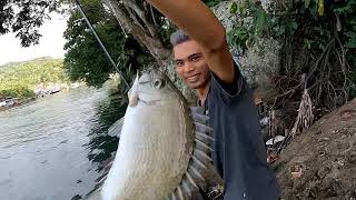 DAPAT BARONANG BABON LAGI II MANCING BARONANG II Rabbitfish