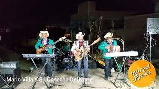 Tema:Beto Araújo Mario Villa Y Su Cosecha Del Norte Ft. Chano Mondragon De Los Rancheritos Del Sur!