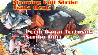 MANCING CIRATA||STRIKE TIADA HENTI-PERIH BAGAI TERTUSUK SERIBU DURI