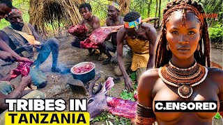 CURVY BEAUTIES & Hunting and Eating R@re Animals - 15 Strange and Amazing Facts About TANZANIA!