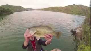 Fischer Ferien am Ebro Stausee ( fishing on Black Bass and Catfish )