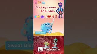 The Skin: The Human Body's Ultimate Armor and Largest Organ #cartoon  #kidsvideo #humanbody