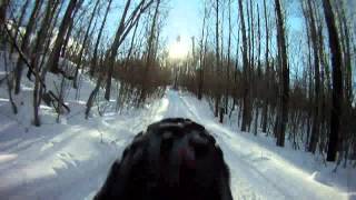 Fat Bike Downhill #1. Rear Tire View. Surly Moonlander. Gopro Hero HD.