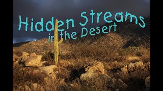 Hidden Streams in the Desert