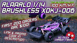 RLAARLO XDKJ-006 CRAZY FAST $100 Brushless Basher from - Unboxing / Bashing / 2S 3S Speed Runs