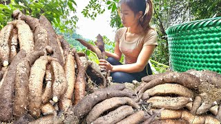 One lucky day for the young girl, she dug up many rare tubers