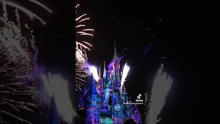 Magic Kingdom Vlog Last Day of the 50th Celebration